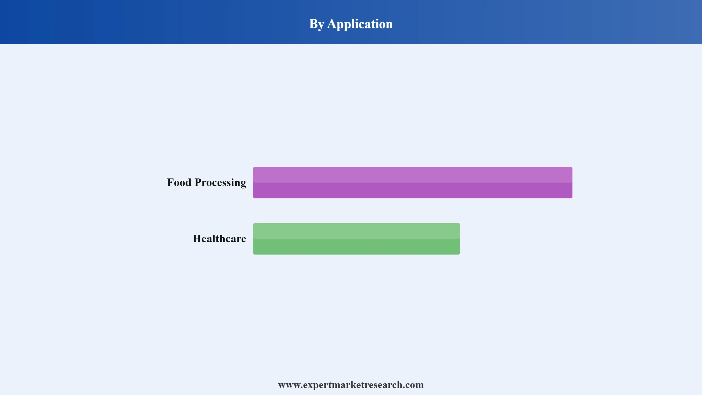 India Onion Powder Market Segment Application