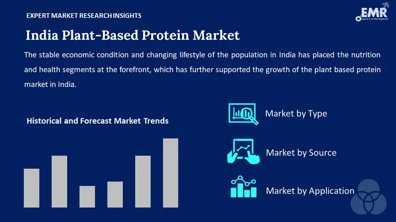 India Plant Based Protein Market by Segment