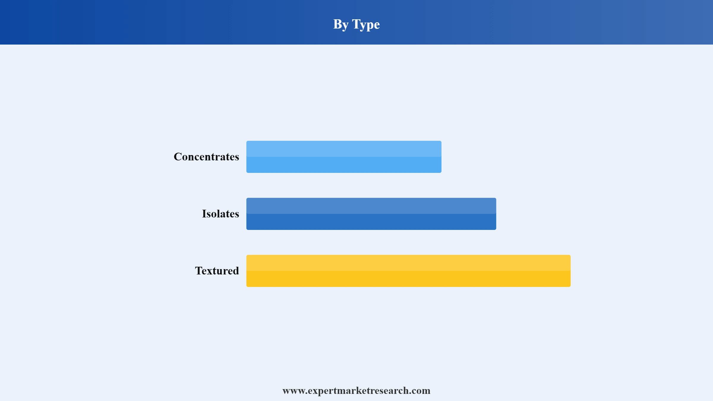 India Plant-Based Protein Market Segment Type