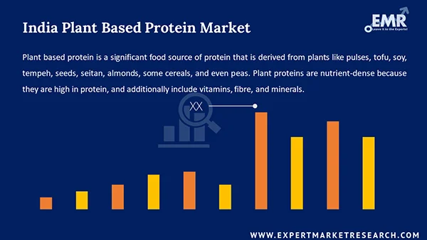 India Plant Based Protein Market 
