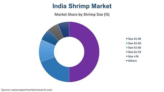 India Shrimp Market By Shrimp Size