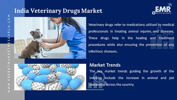 India Veterinary Drugs Market 2023-2028 | Size, Share, Growth, Report