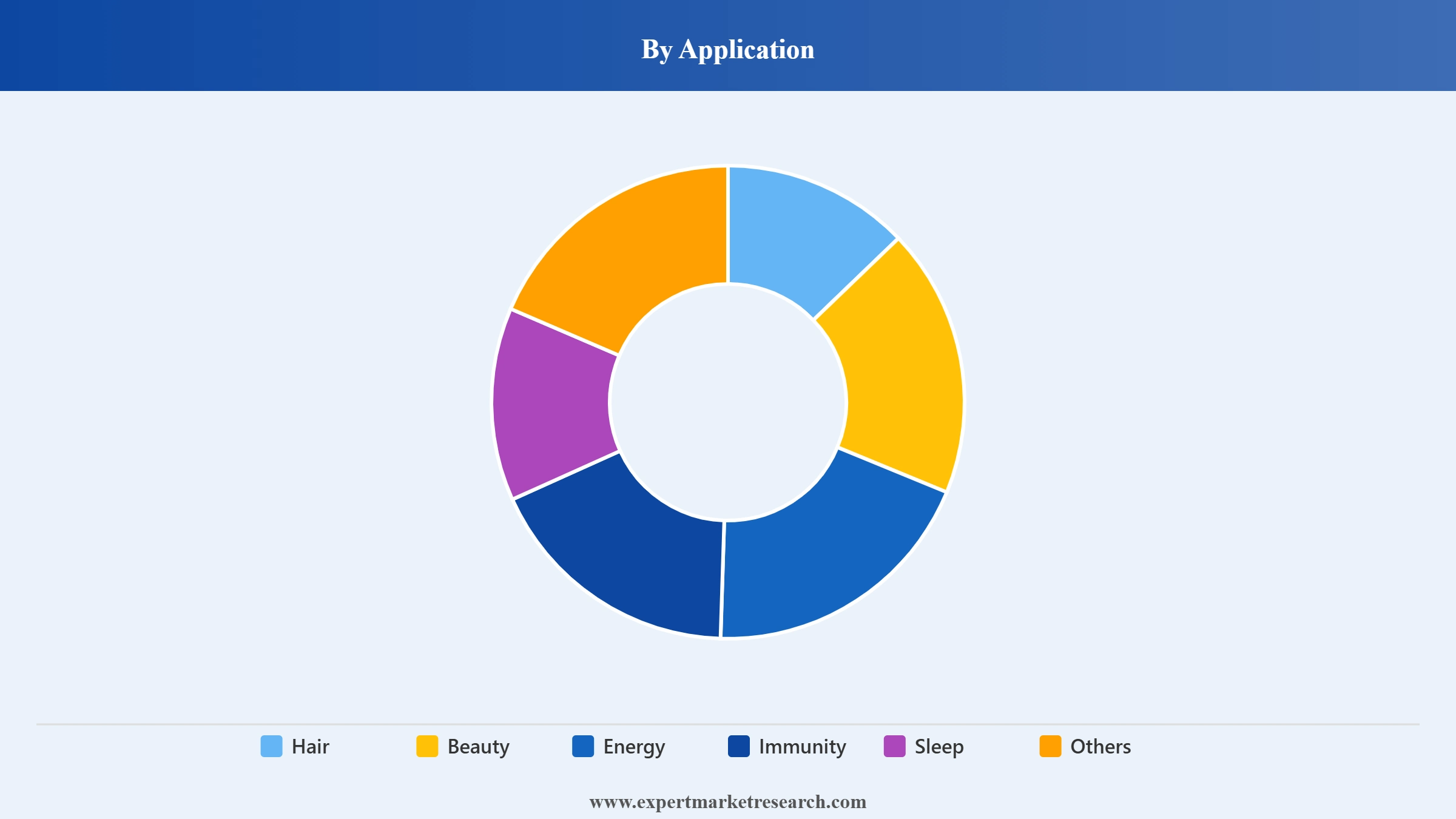 India Vitamin Gummies Market Segment Application