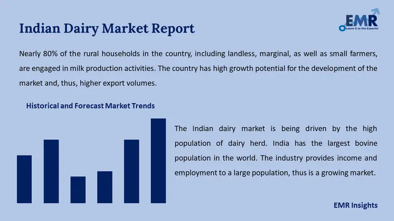Indian Dairy Market