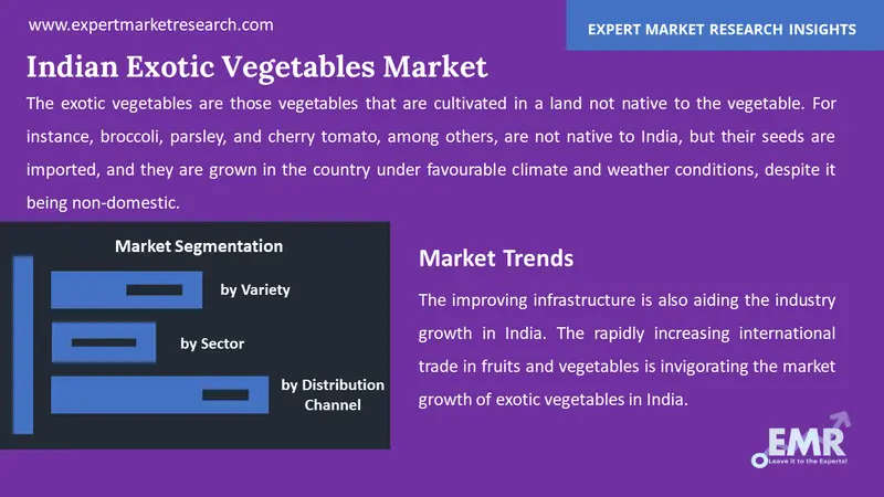 Indian Exotic Vegetables Market By Segments