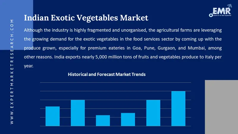 Indian Exotic Vegetables Market