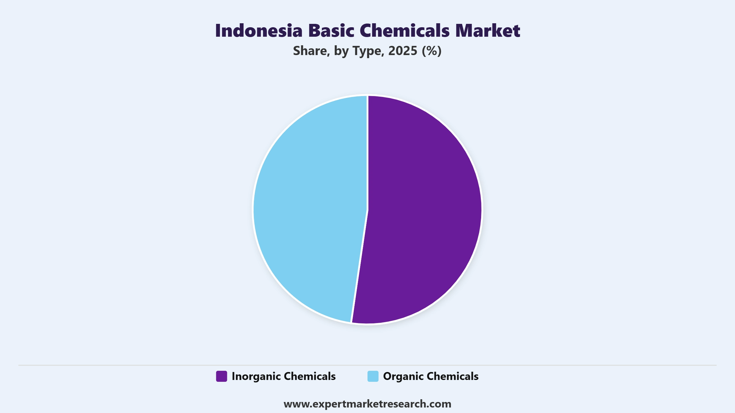 Indonesia Basic Chemicals Market Segment Type