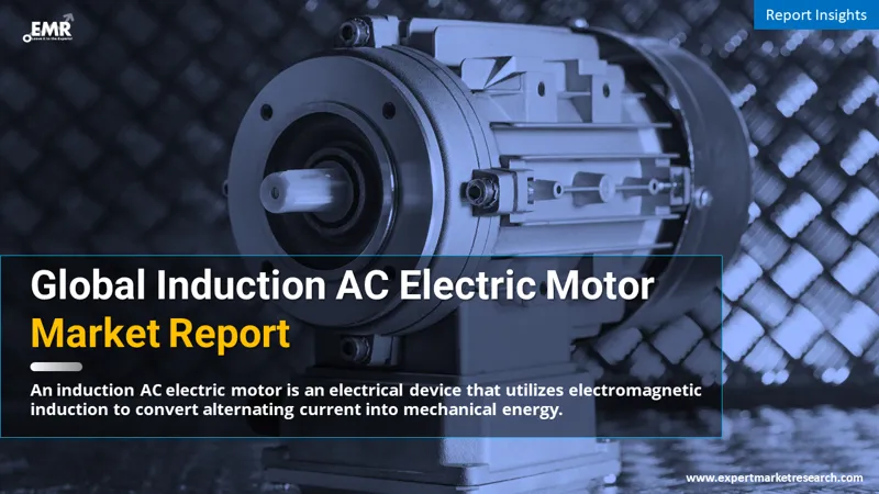 Global Induction AC Electric Motor Market