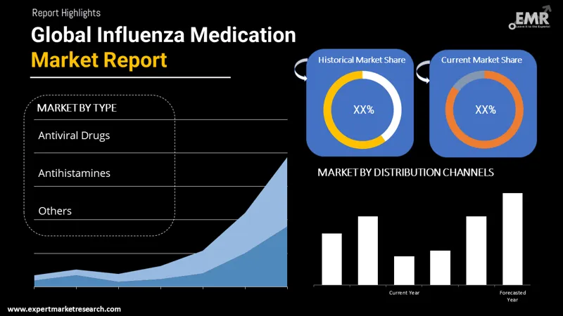 influenza medication market by segments