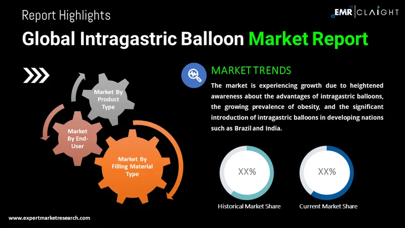 Global Intragastric Balloon Market