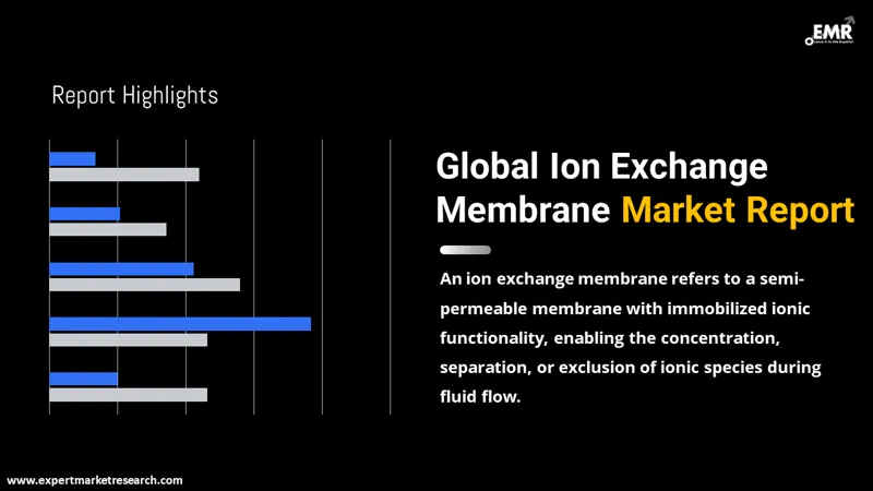 Global Ion Exchange Membrane Market