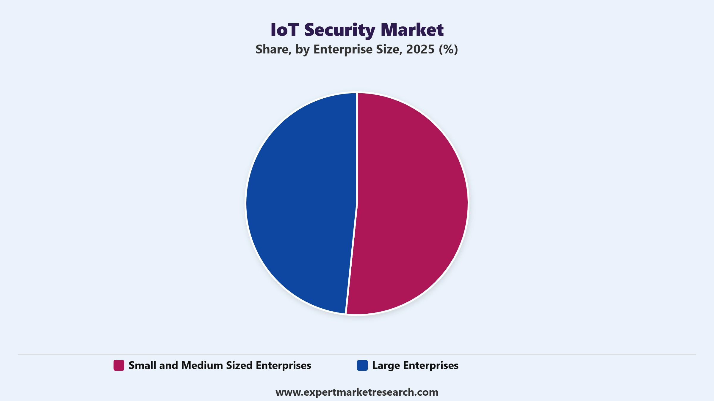IoT Security Market Segment Enterprise Size