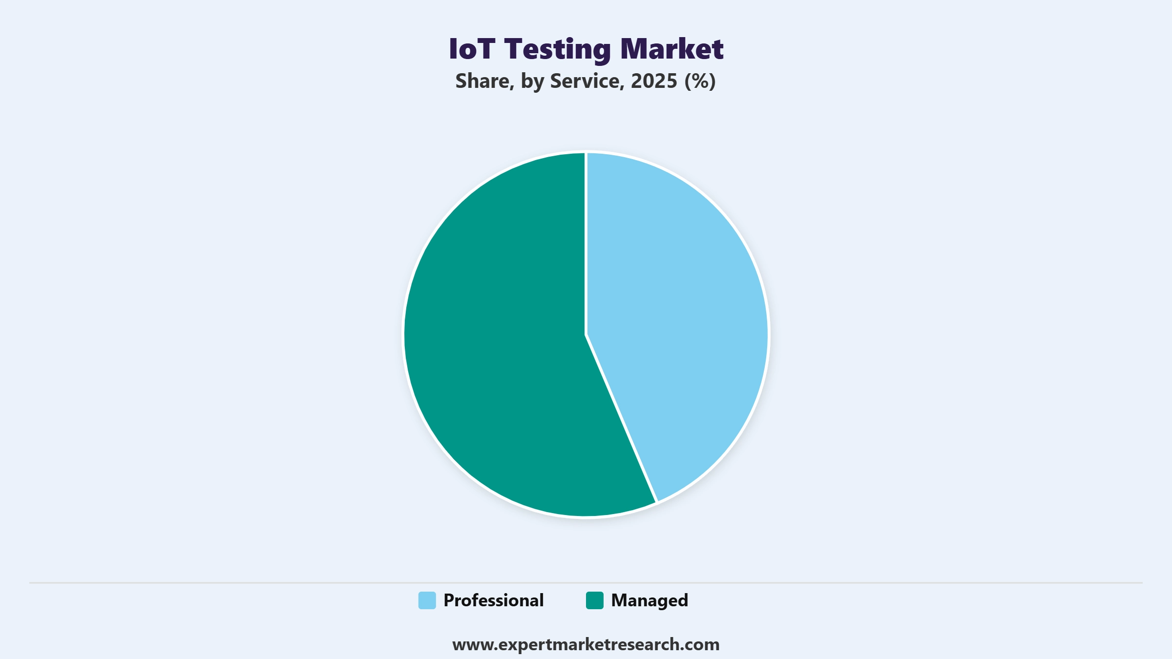 IoT Testing Market Segment Service