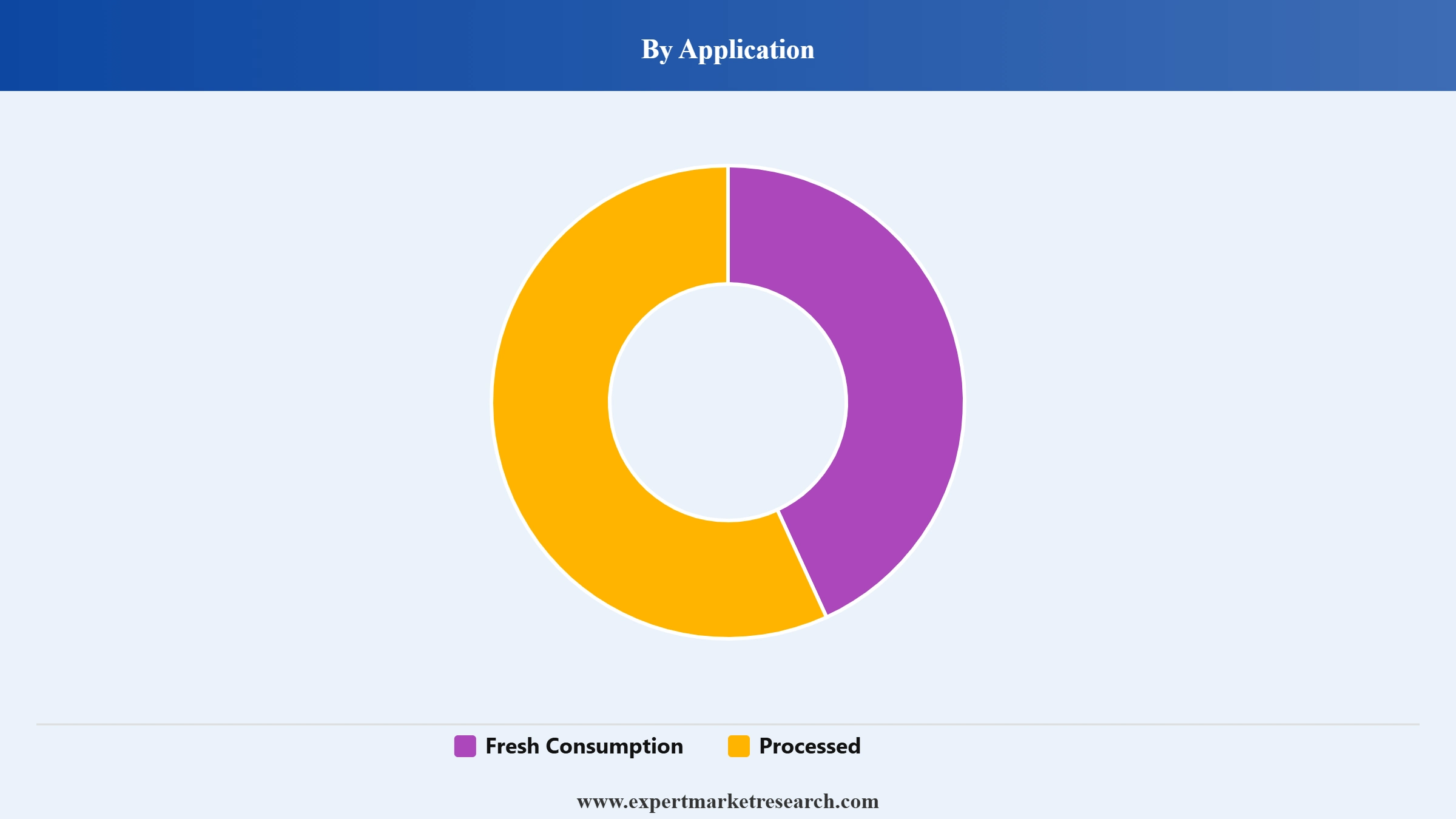 Jackfruit Market Segment Application