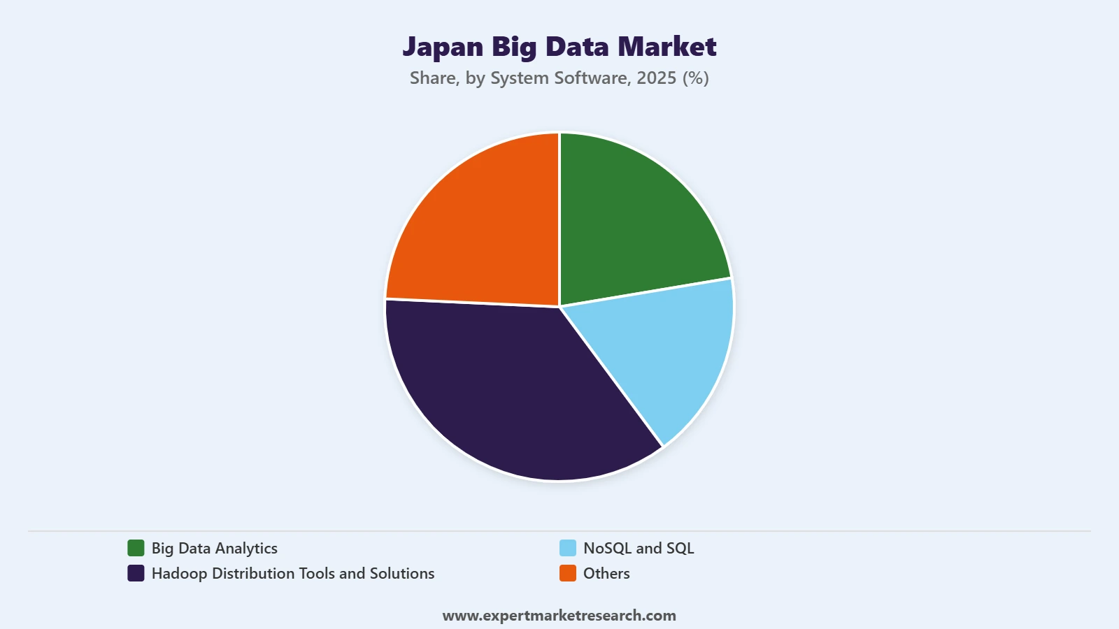 Japan Big Data Market Segment System Software