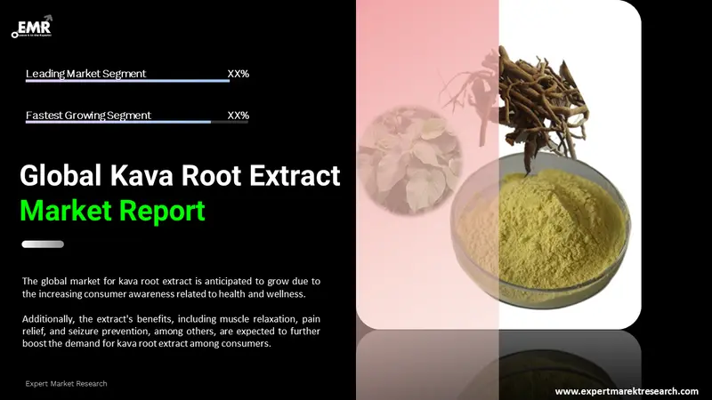 kava root extract market