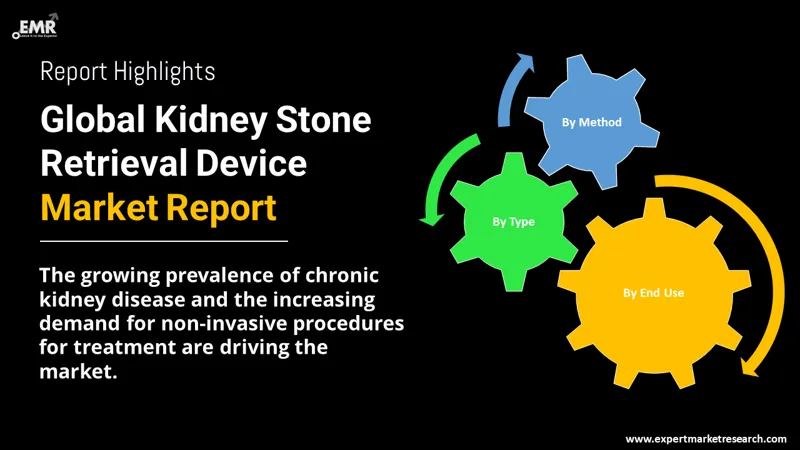 kidney stone retrieval device market by segments