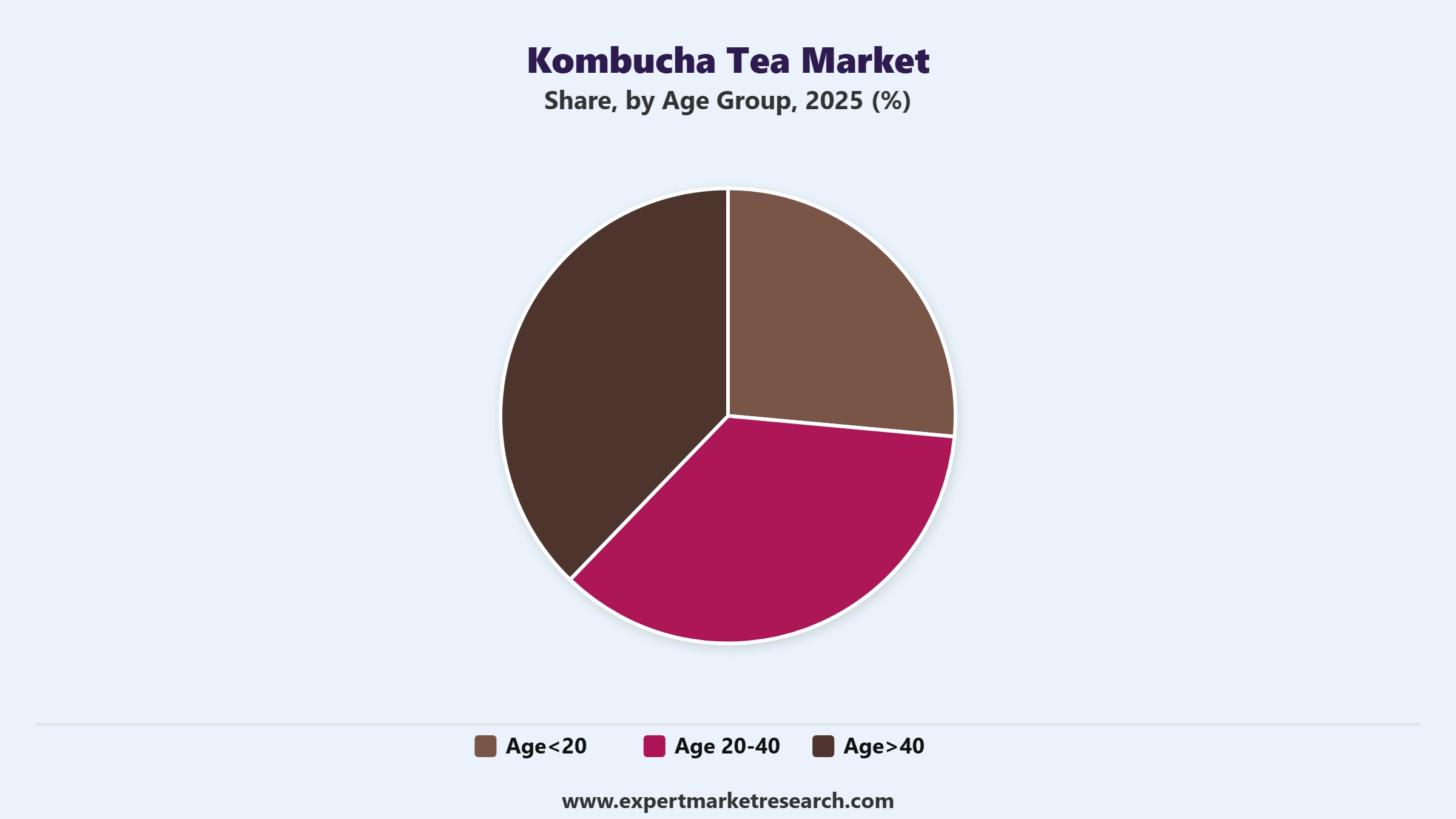 Kombucha Tea Market Segment Age Group