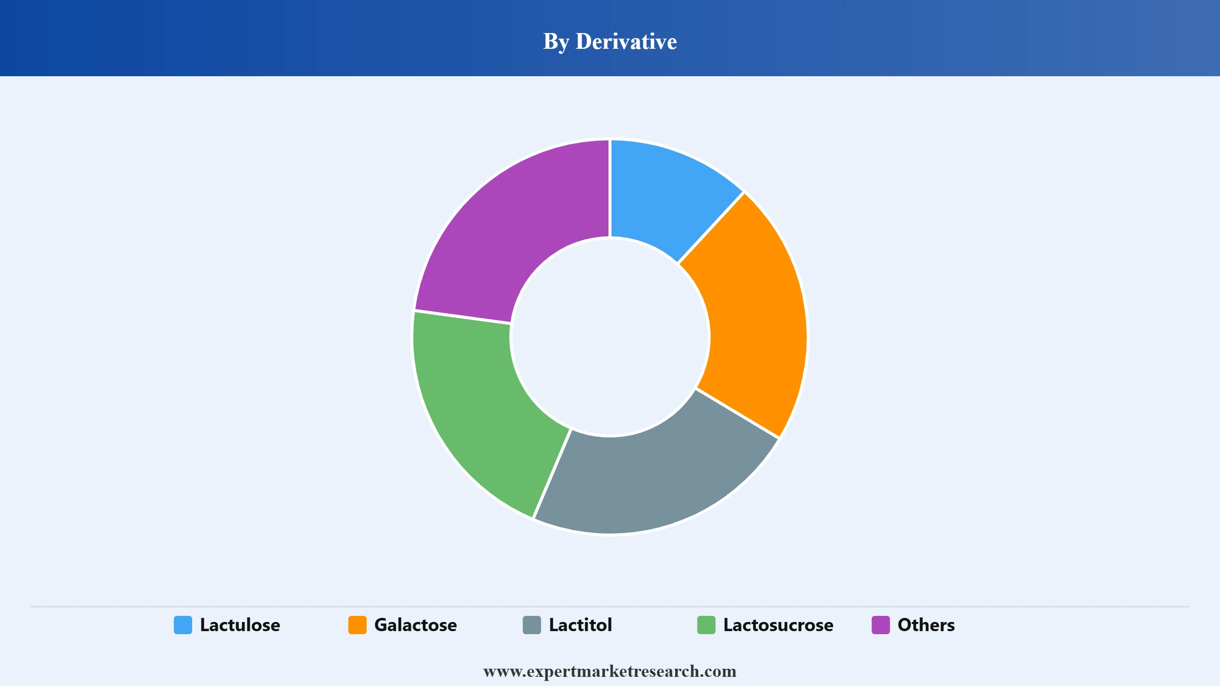 Lactose Market Segment Derivative