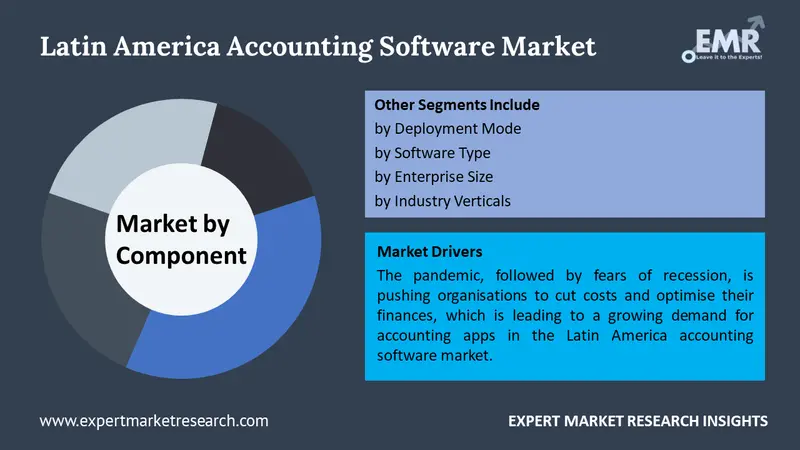 latin america accounting software market by segments
