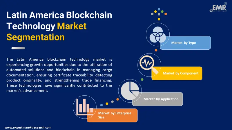 latin america blockchain technology market by segments