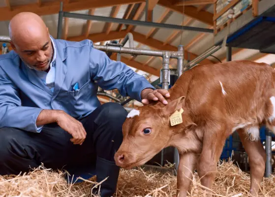 Latin America Government Animal Vaccination Programs