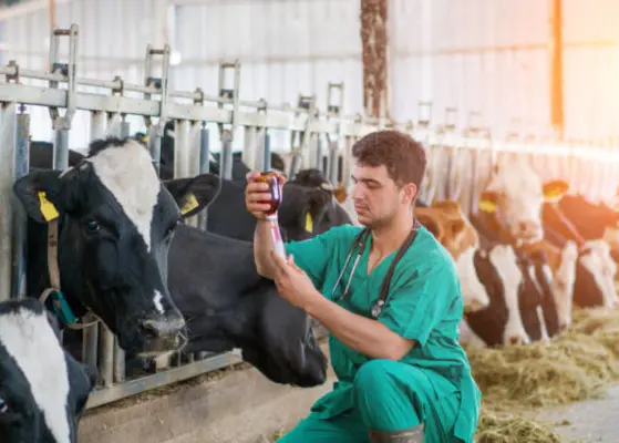 Latin America Livestock Vaccination Insights