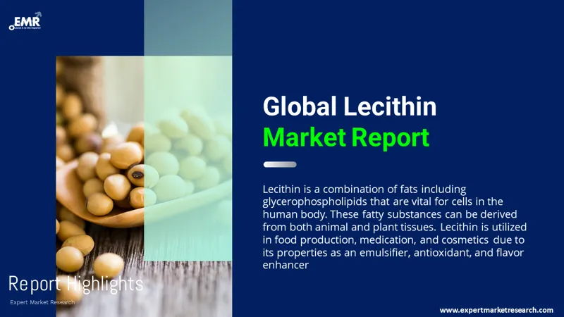 lecithin market