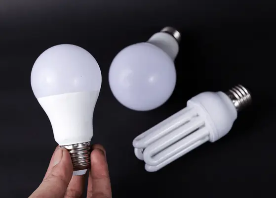 LEDs Replacing CFLs Southeast Asia