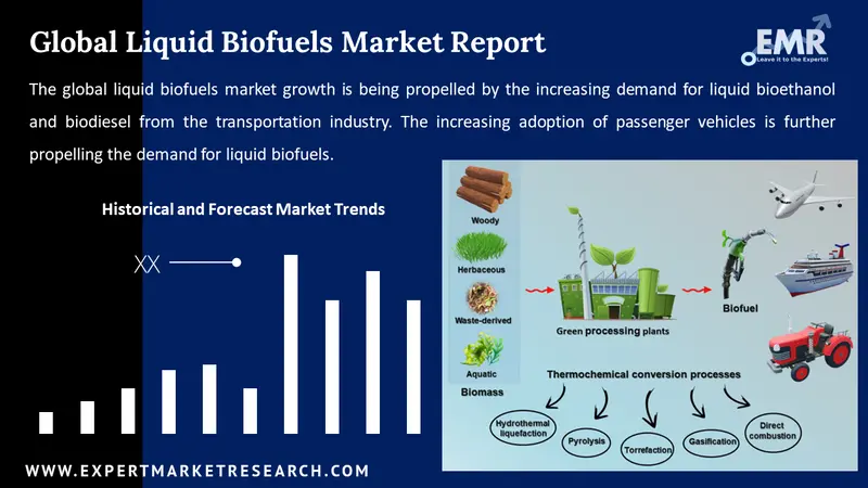 liquid biofuels market