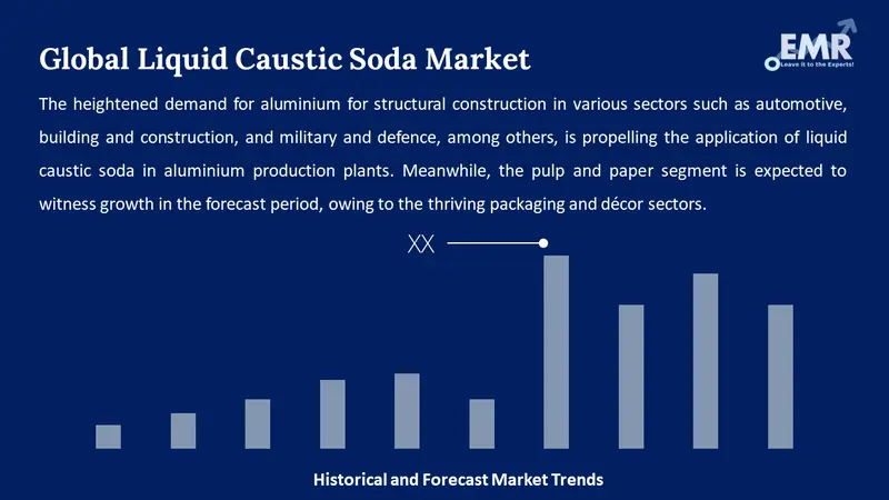 liquid caustic soda market