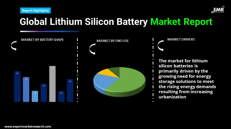 lithium silicon battery market by segments