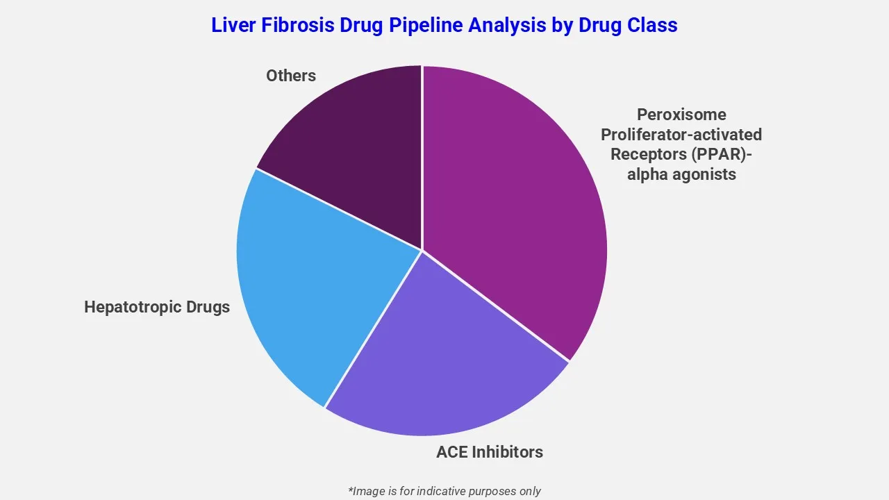 Liver Fibrosis Drug Pipeline Analysis By Drug Class