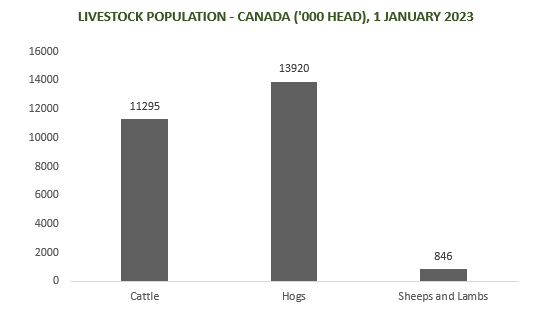 North America Compound Feed Market