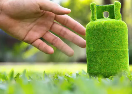 LPG Energy Transition And Developing Economies