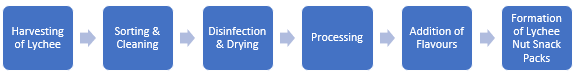 Lychee Nut Snack Packs Manufacturing Plant Project Report