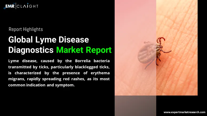 Global Lyme Disease Diagnostics Market