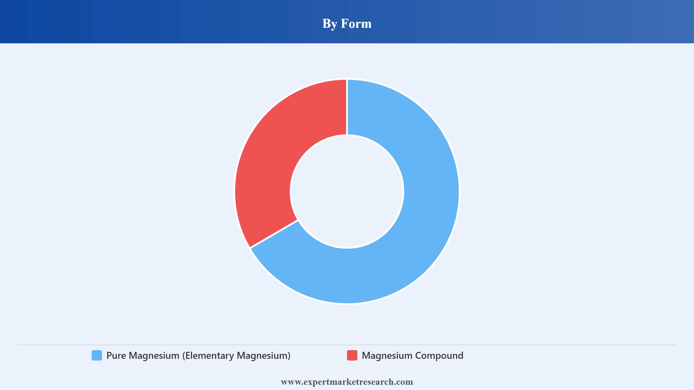 Magnesium Market Segment Form