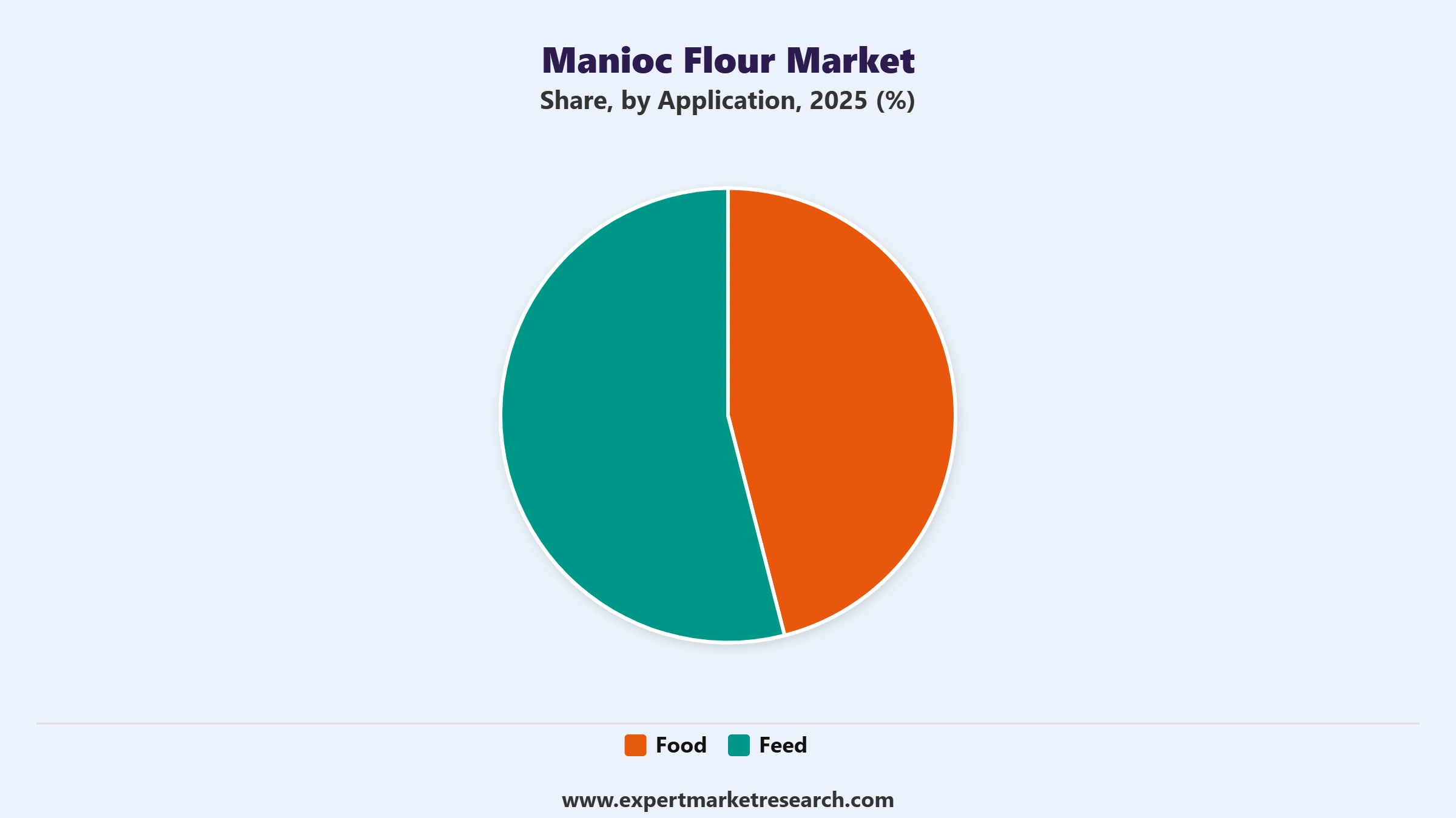 Manioc Flour Market Segment Application