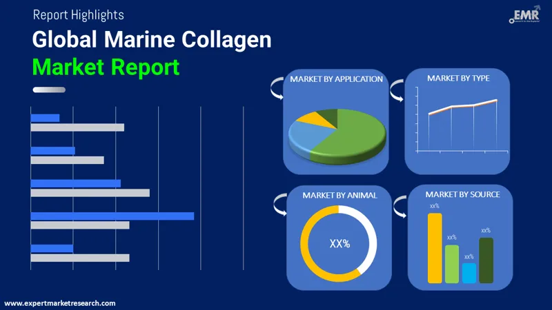 Global Marine Collagen Market