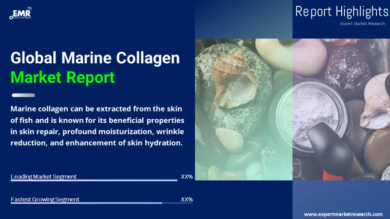 Global Marine Collagen Market