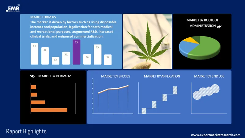 Medical Cannabis Market by Segments