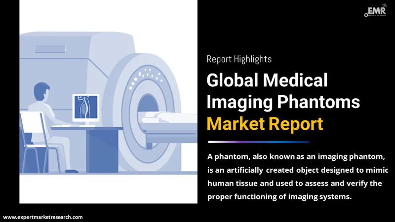 Medical Imaging Phantoms Market Report