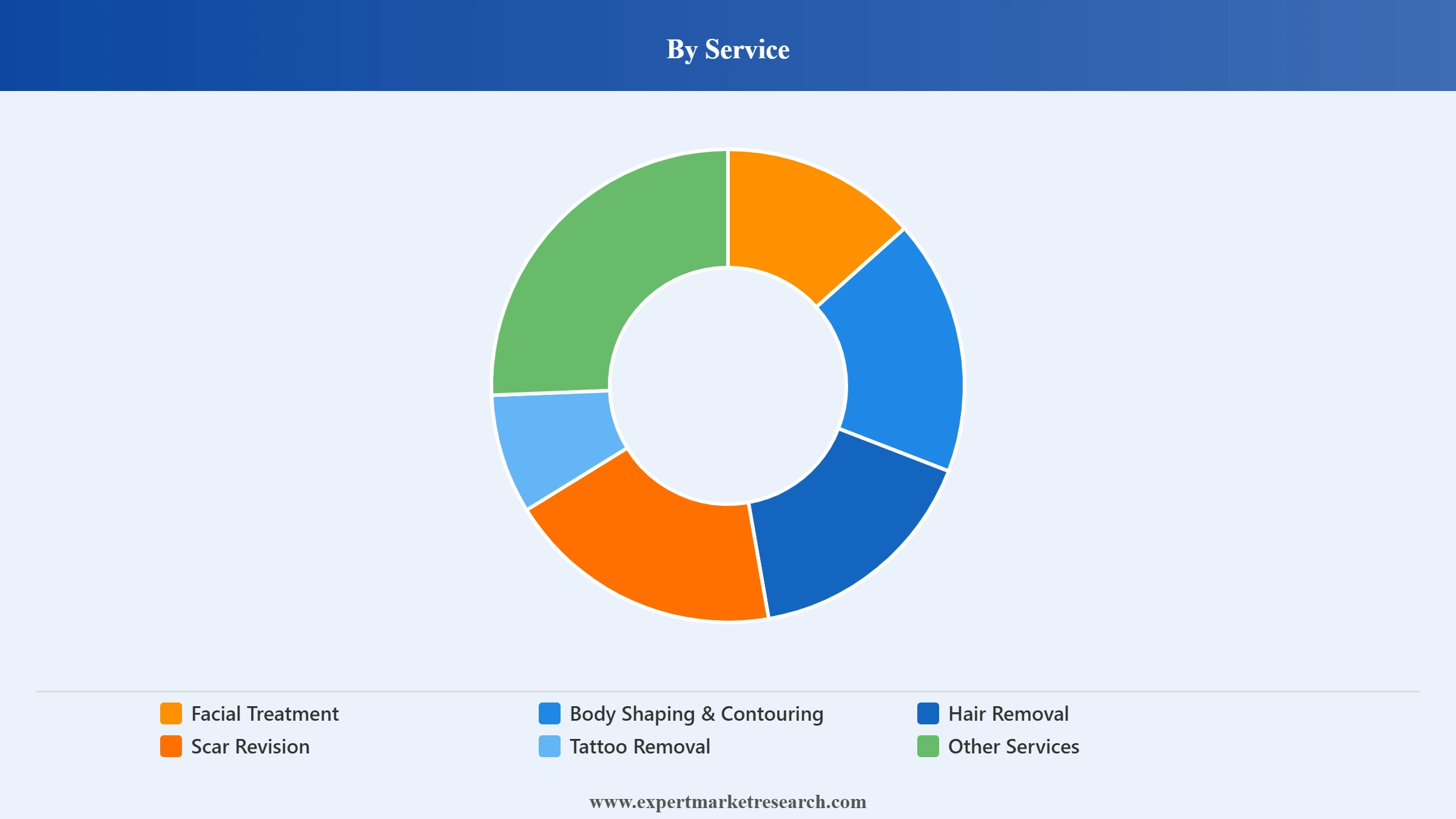 Medical Spa Market Segment Service