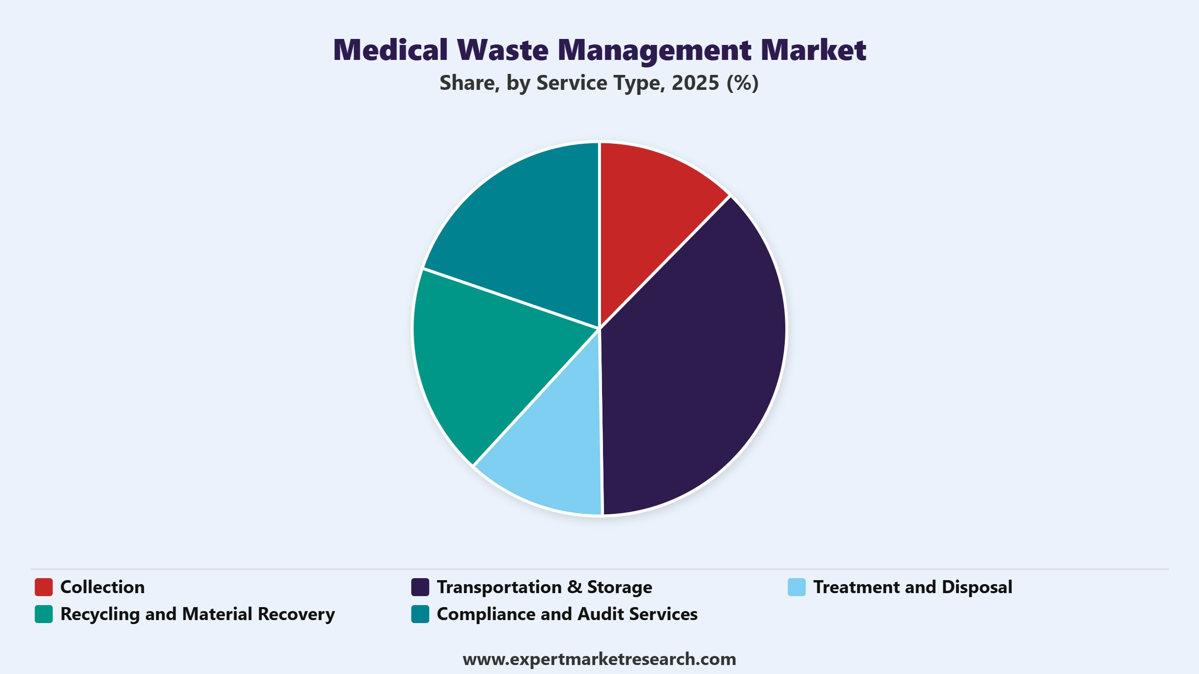 Medical Waste Management Market Segment Service Type