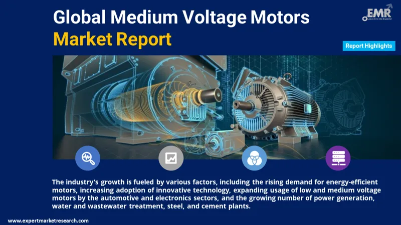 Medium Voltage Motors Market