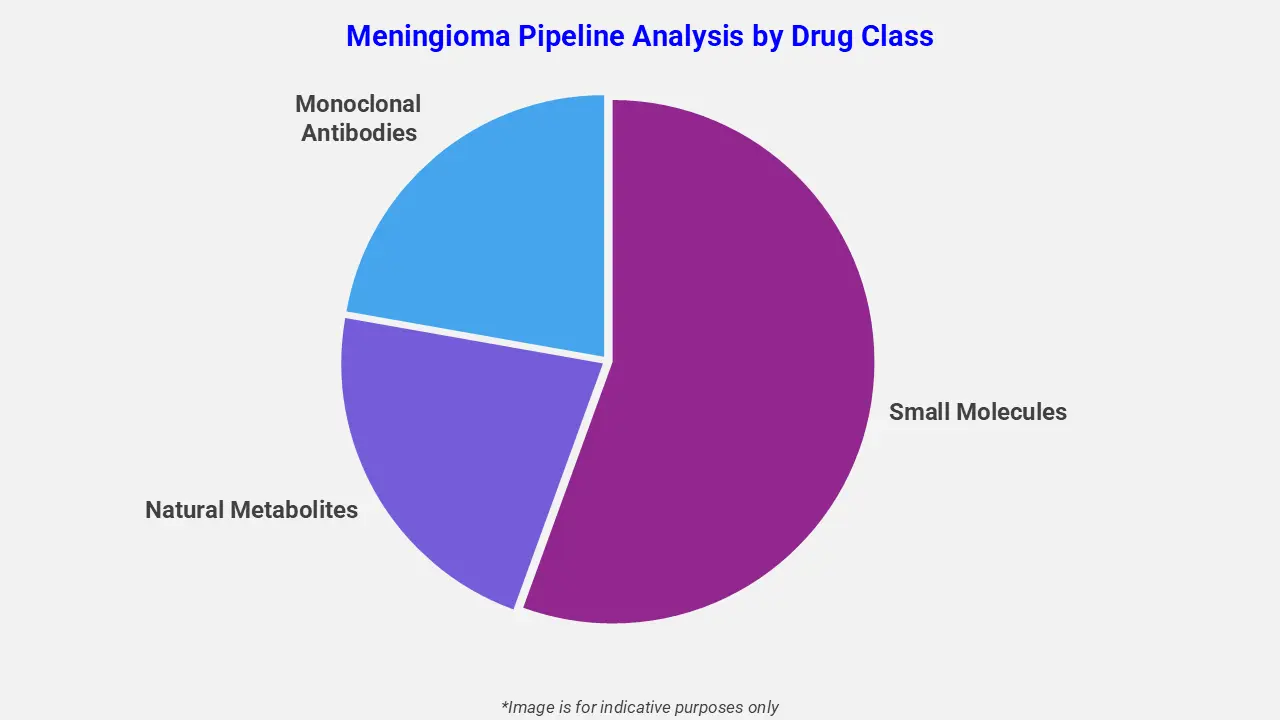 Meningioma Pipeline Analysis by Drug Class
