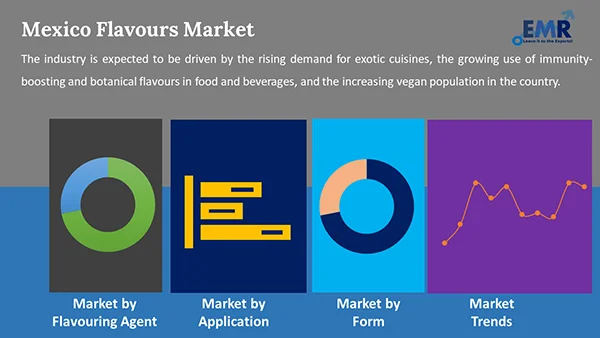 Mexico Flavours Market by Segment