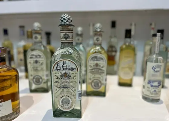 Mexico Premium Tequila Demand And Consumer Trends