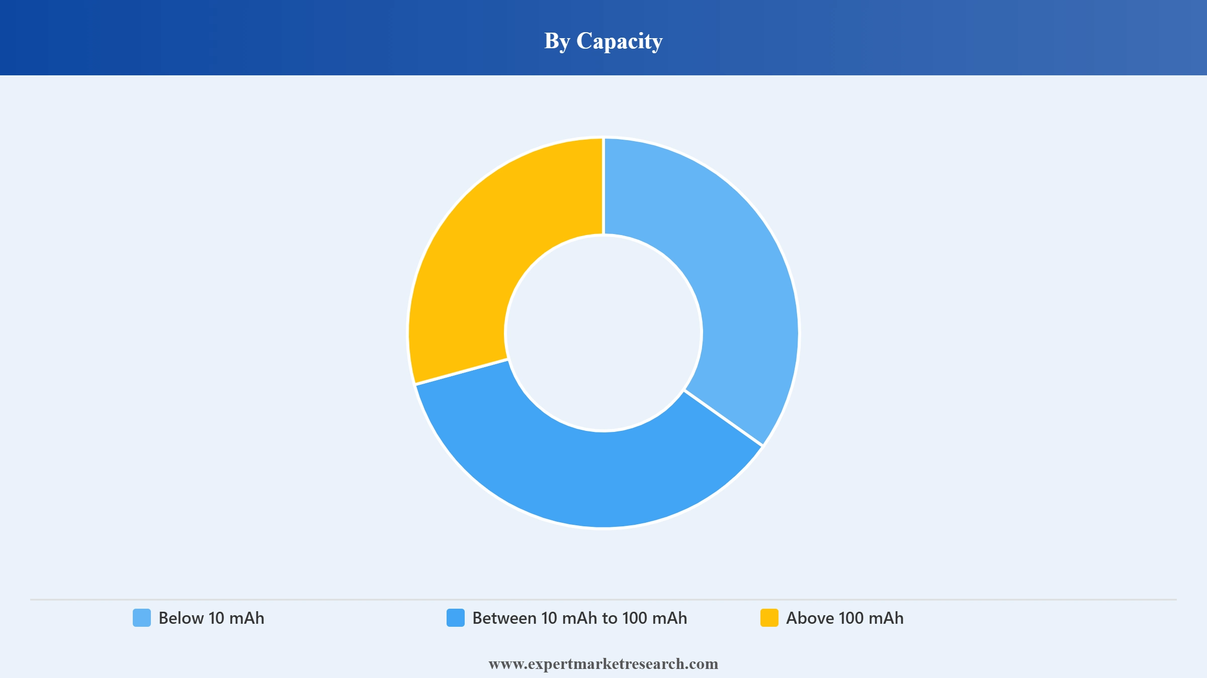 Micro Battery Market Segment Capacity